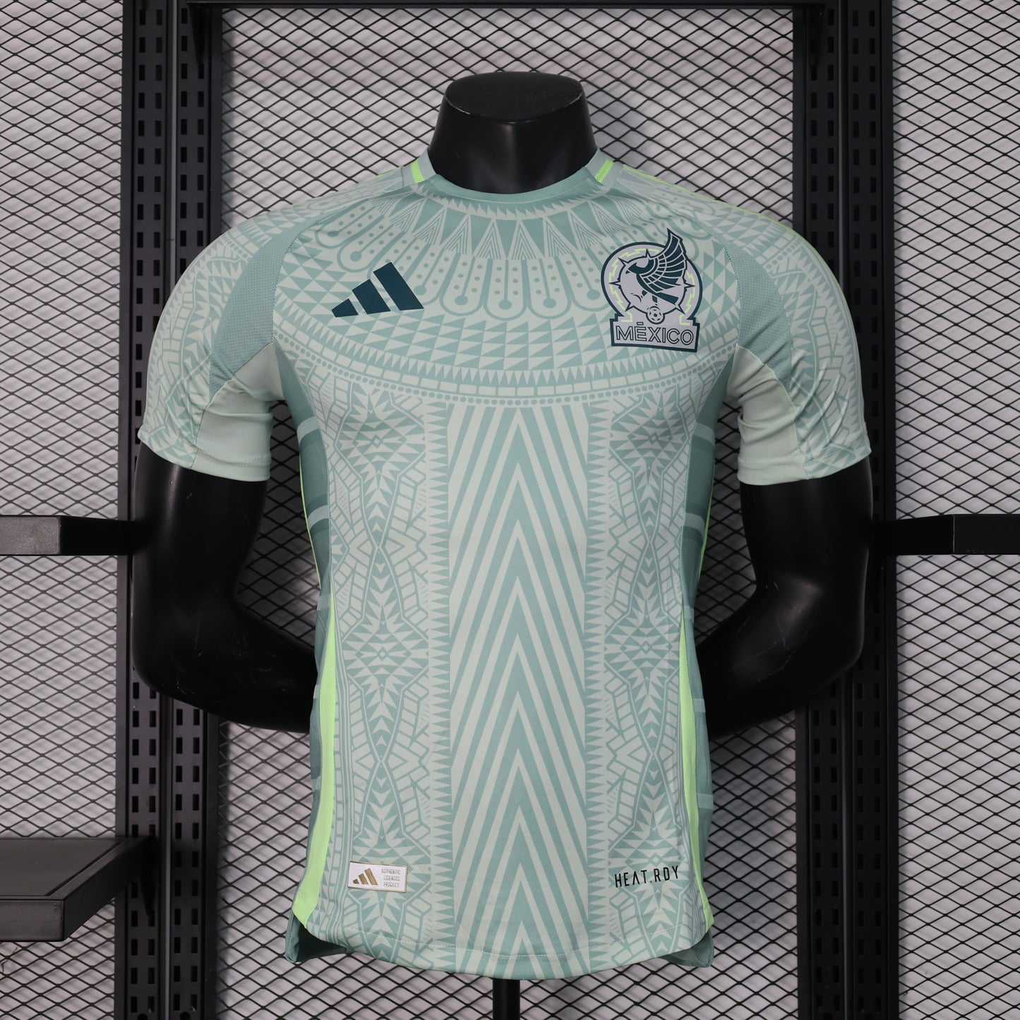 2024/2025 Mexico Away Kit