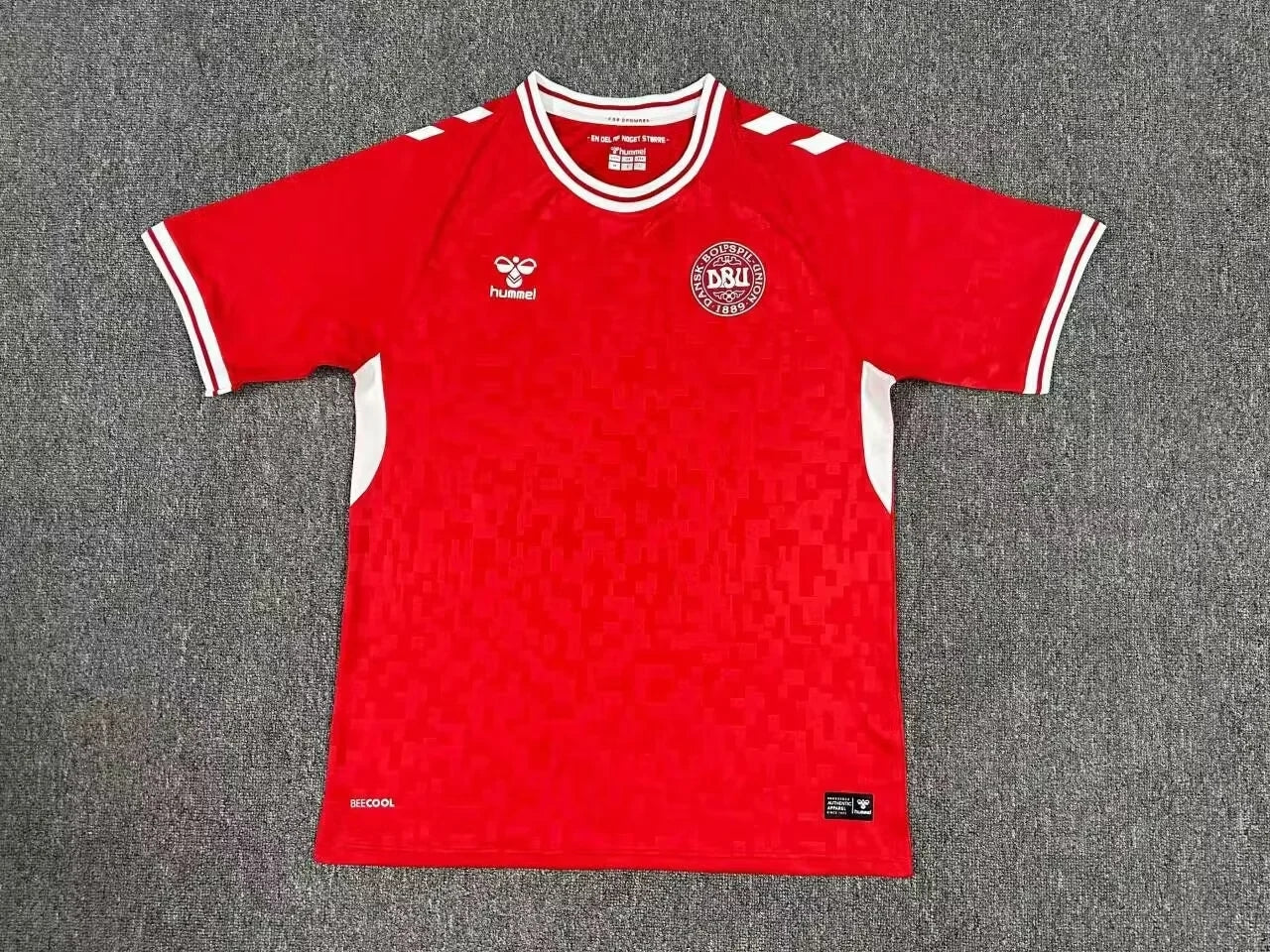 2024/2025 Denmark Home Kit