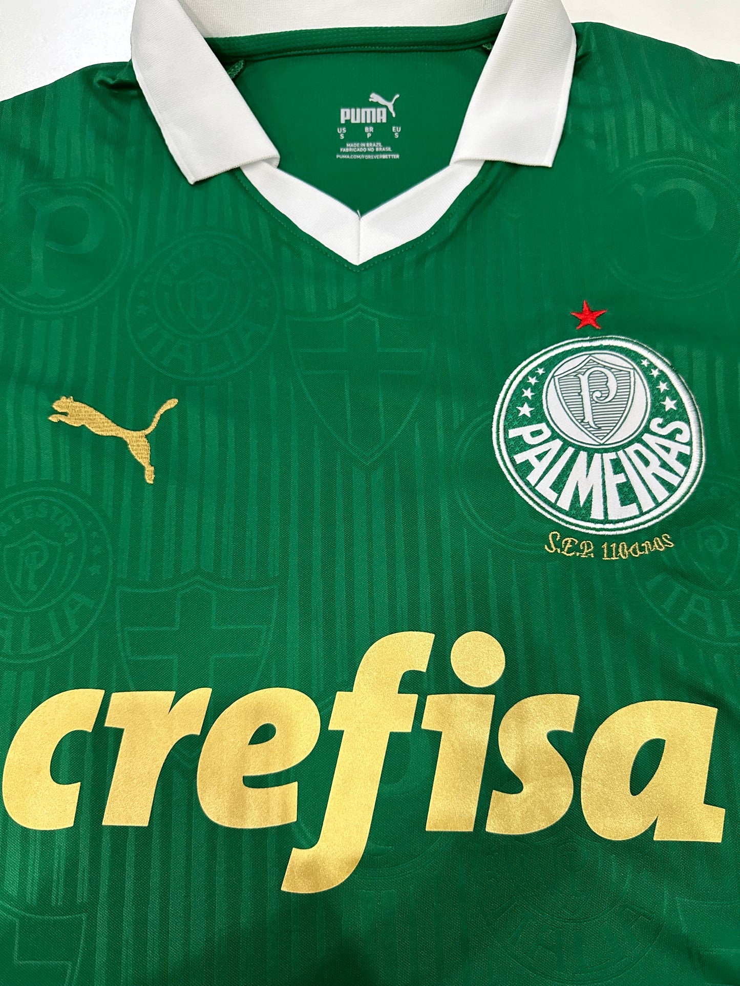 2024/2025 Palmeiras Home Kit