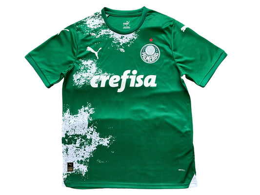 2024/2025 Palmeiras Special Edition Kit