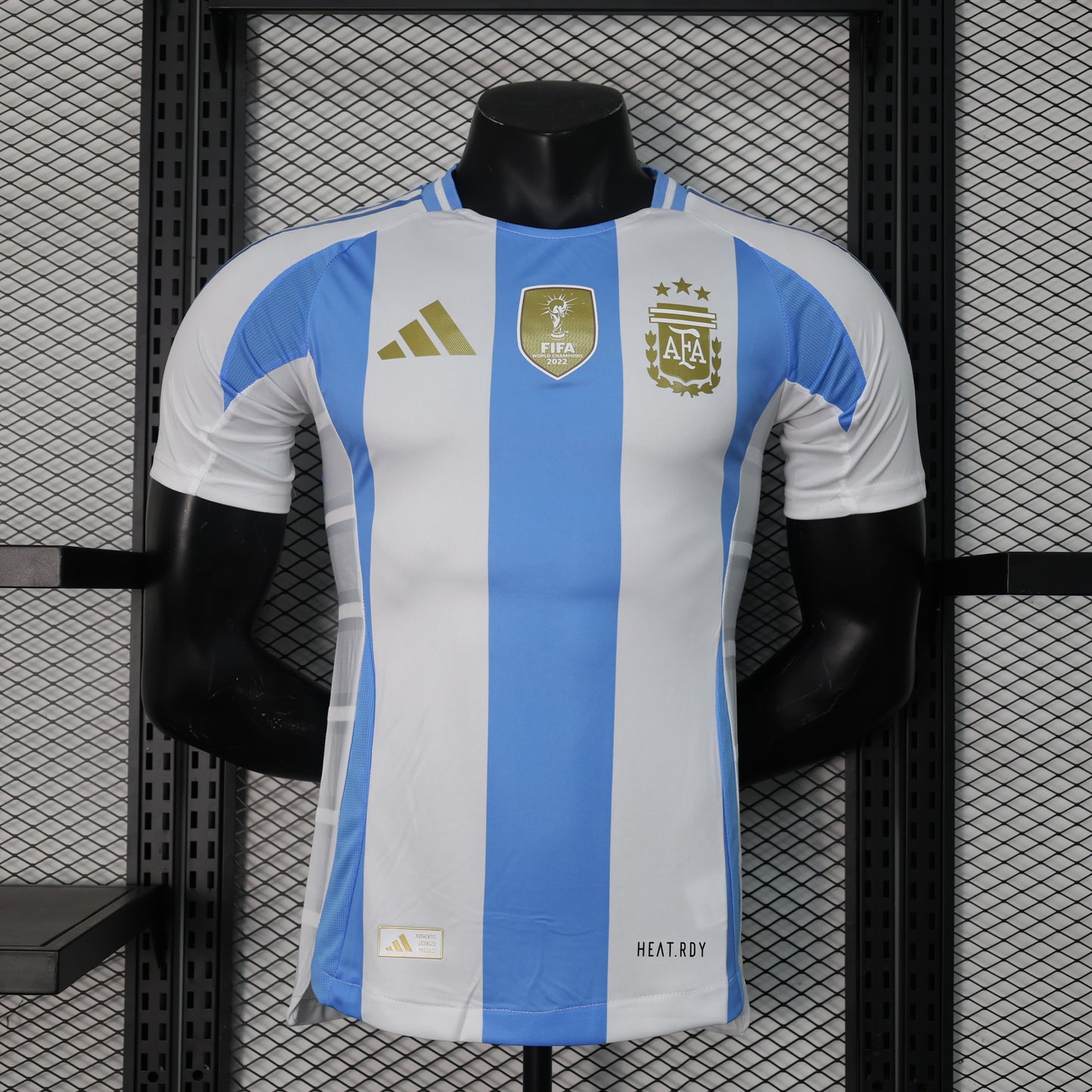 2024/2025 Argentina Home Kit