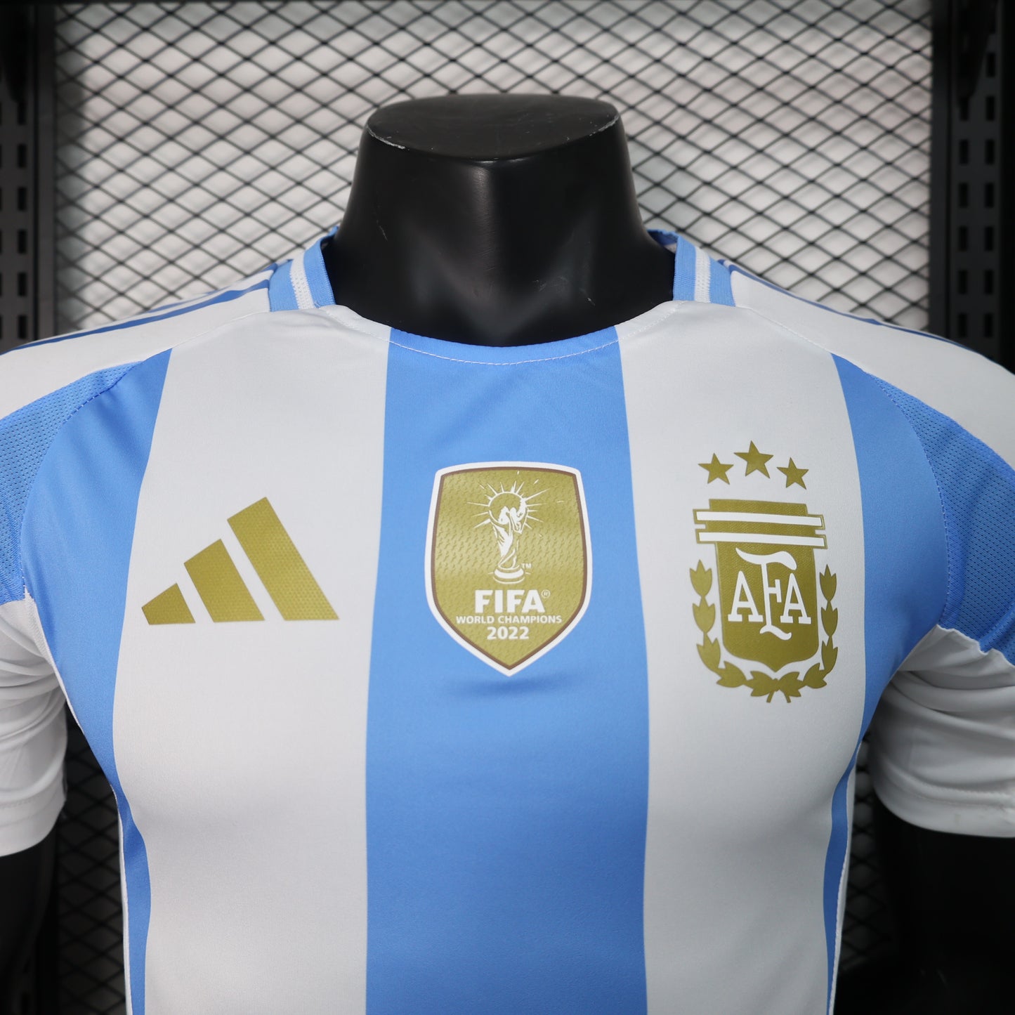 2024/2025 Argentina Home Kit